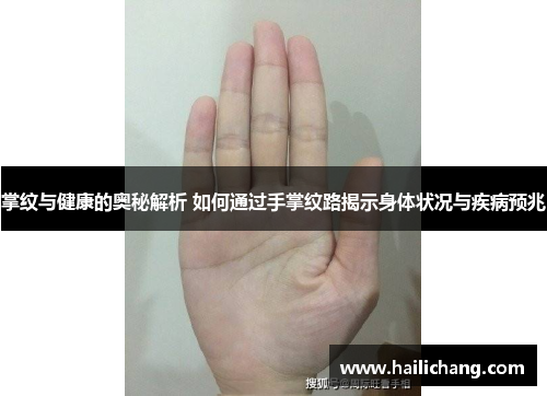 掌纹与健康的奥秘解析 如何通过手掌纹路揭示身体状况与疾病预兆