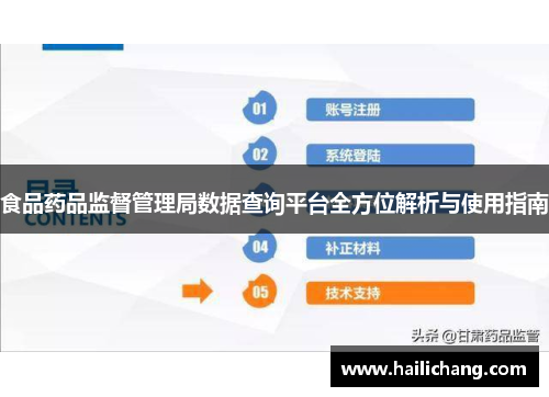 食品药品监督管理局数据查询平台全方位解析与使用指南 食品药品监督管理局数据查询平台全方位解析与使用指南