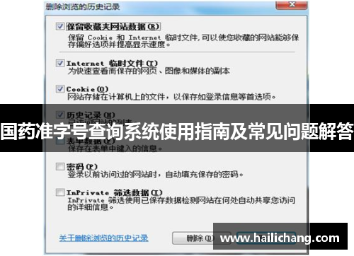 国药准字号查询系统使用指南及常见问题解答