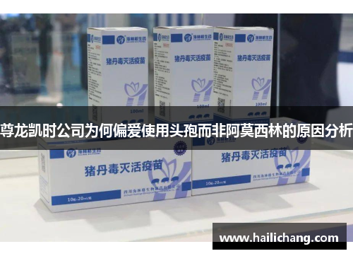 尊龙凯时公司为何偏爱使用头孢而非阿莫西林的原因分析