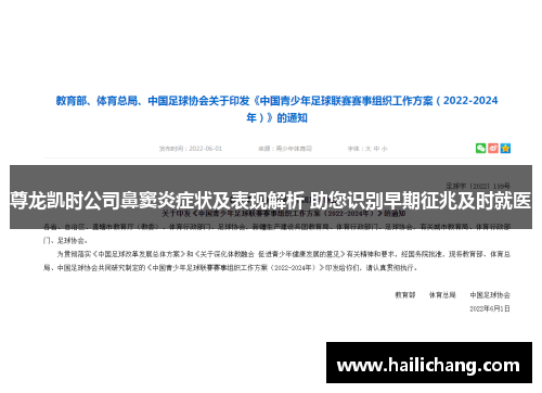 尊龙凯时公司鼻窦炎症状及表现解析 助您识别早期征兆及时就医 尊龙凯时公司鼻窦炎症状及表现解析 助您识别早期征兆及时就医