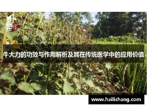 牛大力的功效与作用解析及其在传统医学中的应用价值 牛大力的功效与作用解析及其在传统医学中的应用价值