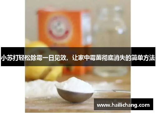 小苏打轻松除霉一日见效,让家中霉菌彻底消失的简单方法 小苏打轻松除霉一日见效,让家中霉菌彻底消失的简单方法